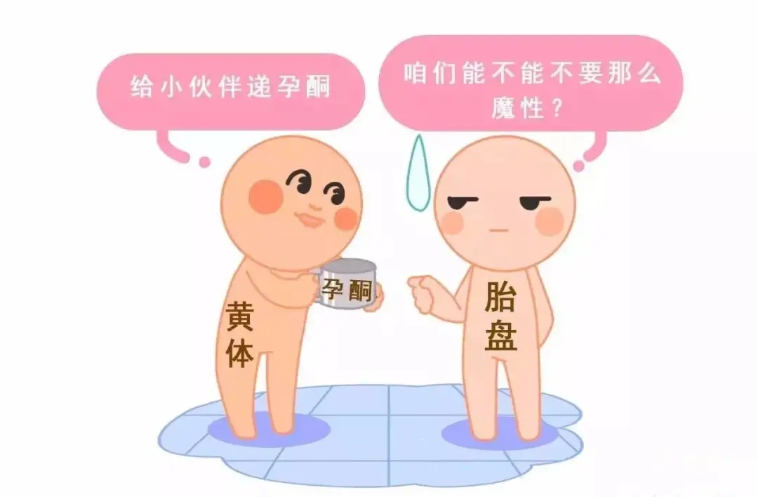 HCG和孕酮低一定會流產(chǎn)？備孕女性必須知道的孕早期“秘密”