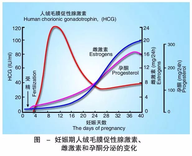 懷孕期間HCG低怎么辦？