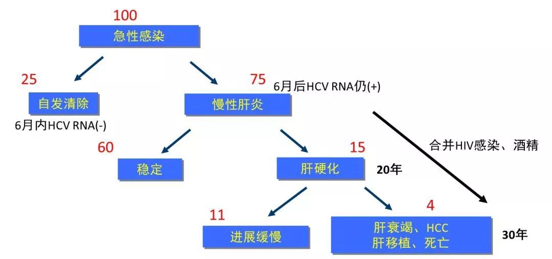 丙肝檢測的弱陽性究竟是不是感染了丙肝？