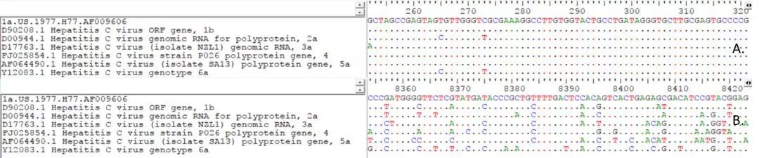 A.5’端非編碼區(qū)序列；B.NS5序列